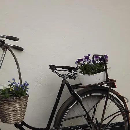 De Willemshoeve Bed and Breakfast Βαγκενίνγκεν