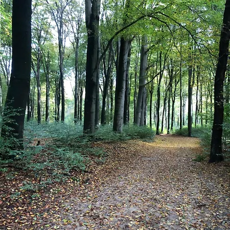 De Willemshoeve