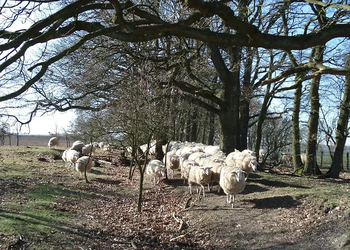 Bed & Breakfast De Willemshoeve Wageningen