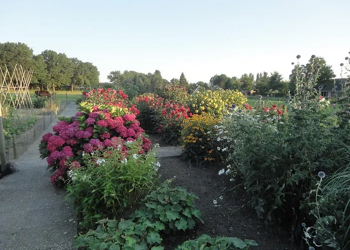 De Willemshoeve Bed & Breakfast Wageningen