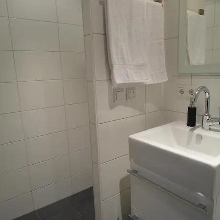 De Willemshoeve 3* וחנינגן