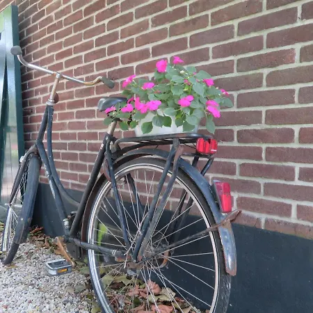 De Willemshoeve 3* וחנינגן