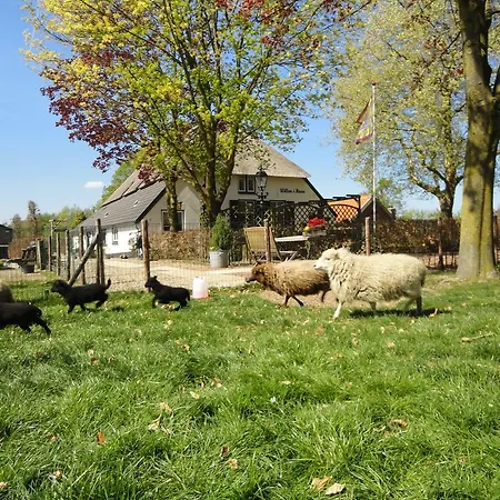 De Willemshoeve לינה וארוחת בוקר וחנינגן