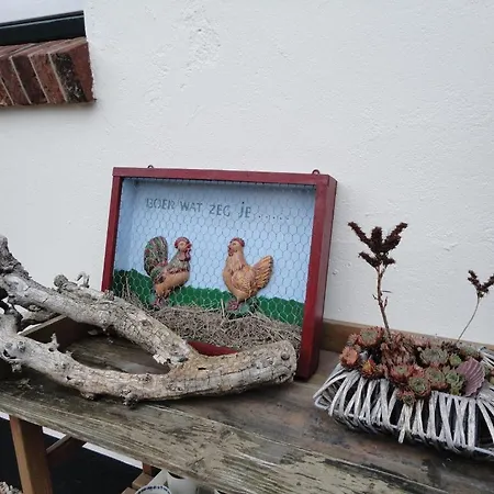 De Willemshoeve 3* וחנינגן