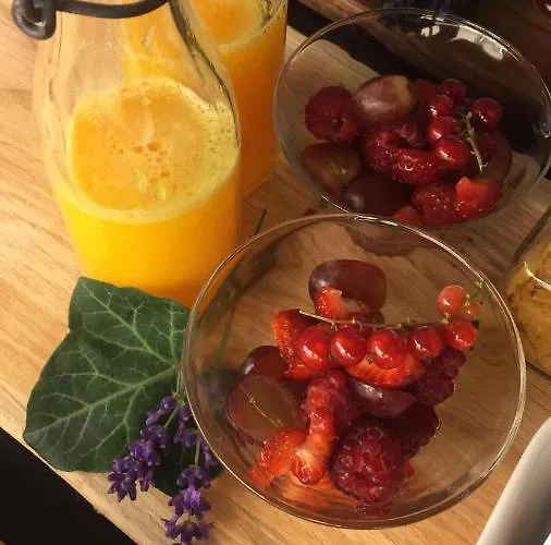 Bed & Breakfast De Willemshoeve