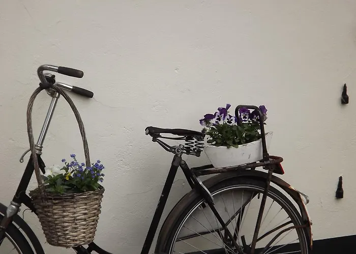 De Willemshoeve Bed & Breakfast Wageningen