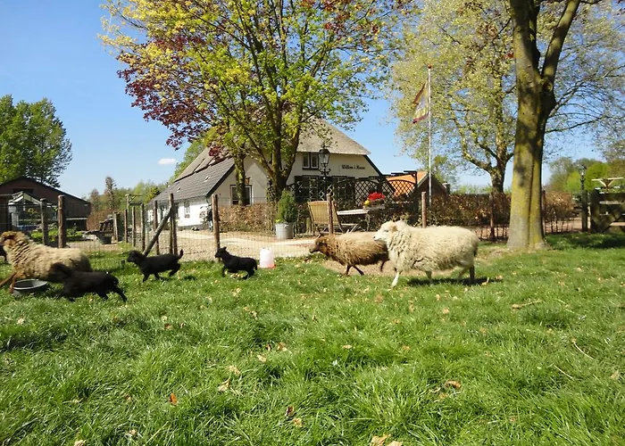 De Willemshoeve Bed & Breakfast Wageningen